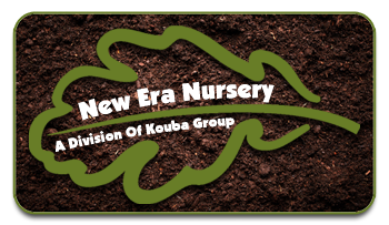 New Era Nursery